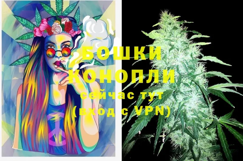 Конопля SATIVA & INDICA  Абинск 